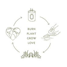 Load image into Gallery viewer, Linnea Candles - Moss - 2 wick