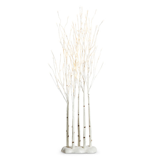 Birch Lighted Grove on Rounded Base