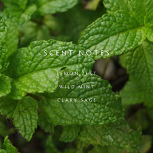 Load image into Gallery viewer, Crushed Mint Reed Diffuser Kit
