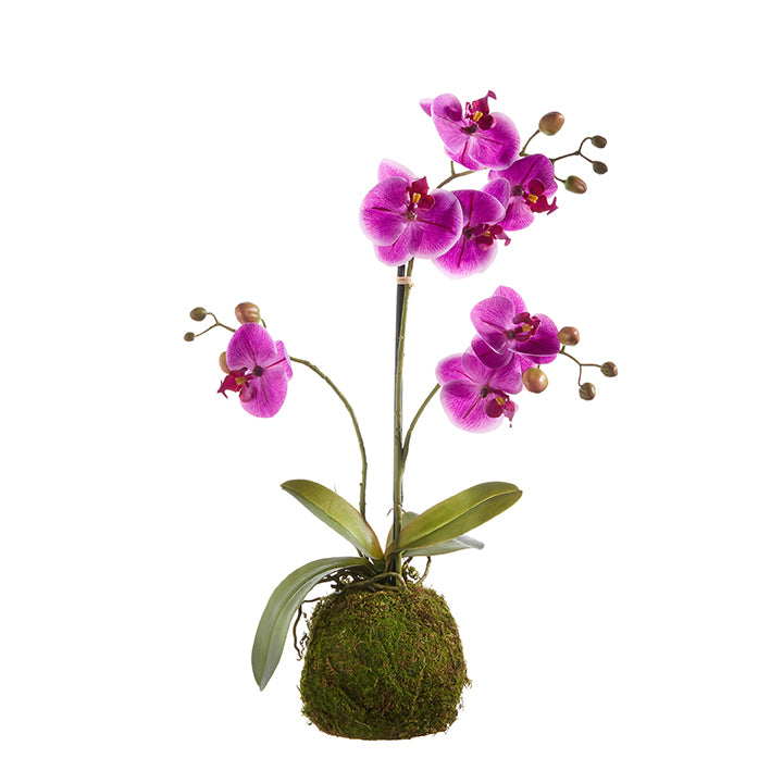 Real Touch Purple Orchid Moss Ball