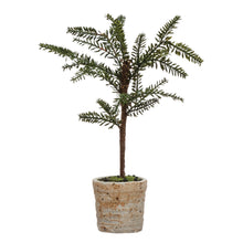 Load image into Gallery viewer, Faux Pine Tree in Distressed White Terracotta Pot
